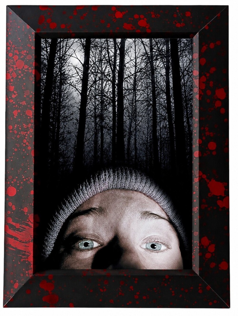 Movie The blair witch Horror Movie Y2k Paranormal Framed Photo Print Art Bloody